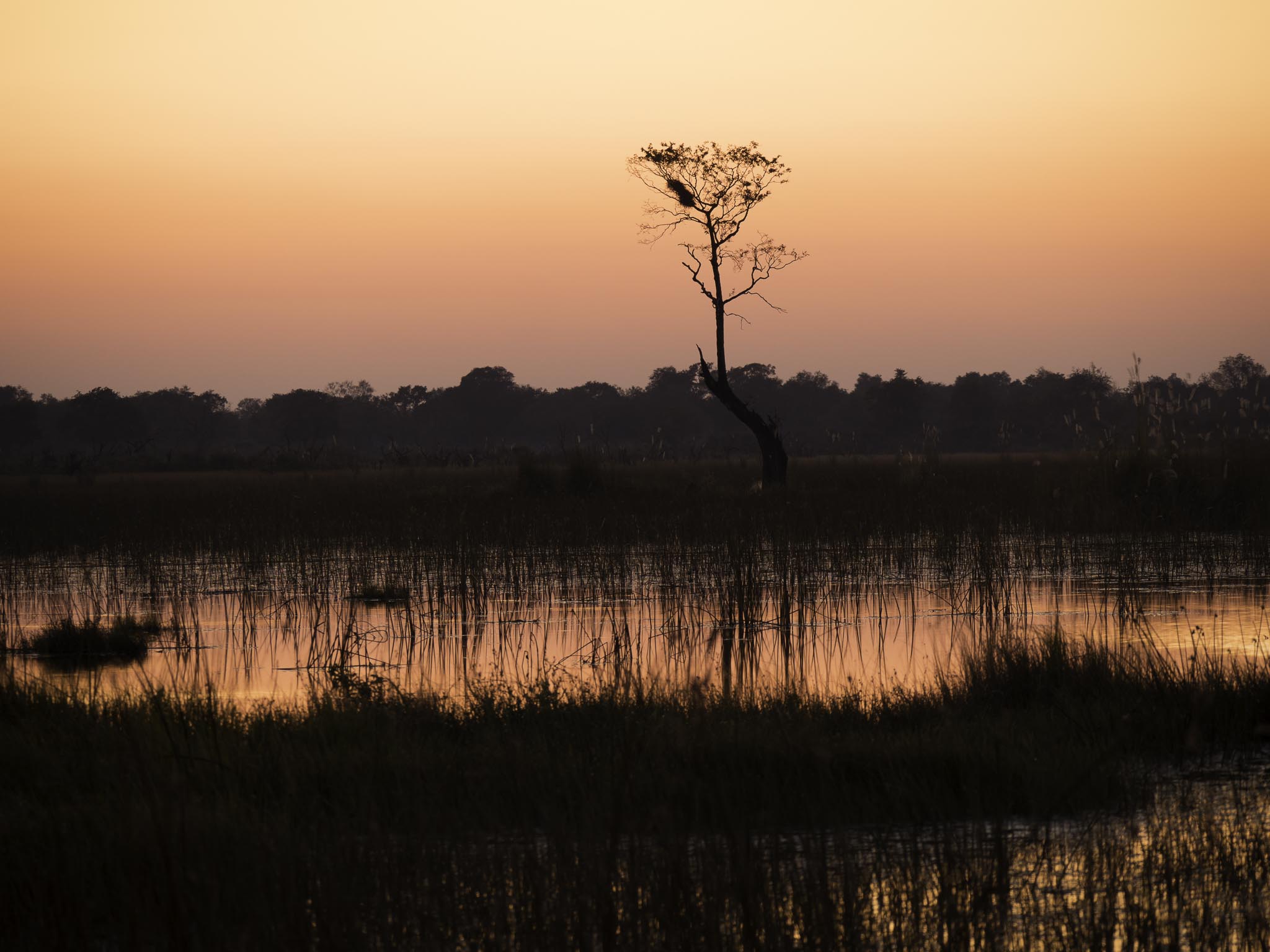 20170809 Africa 2017 _EM26670