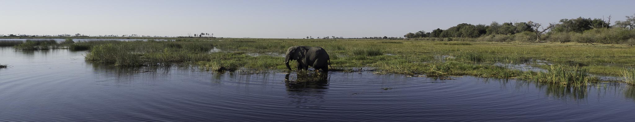 20170811 Africa 2017 SGA10796