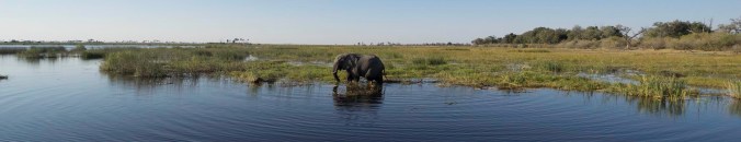 20170811 Africa 2017 SGA10796