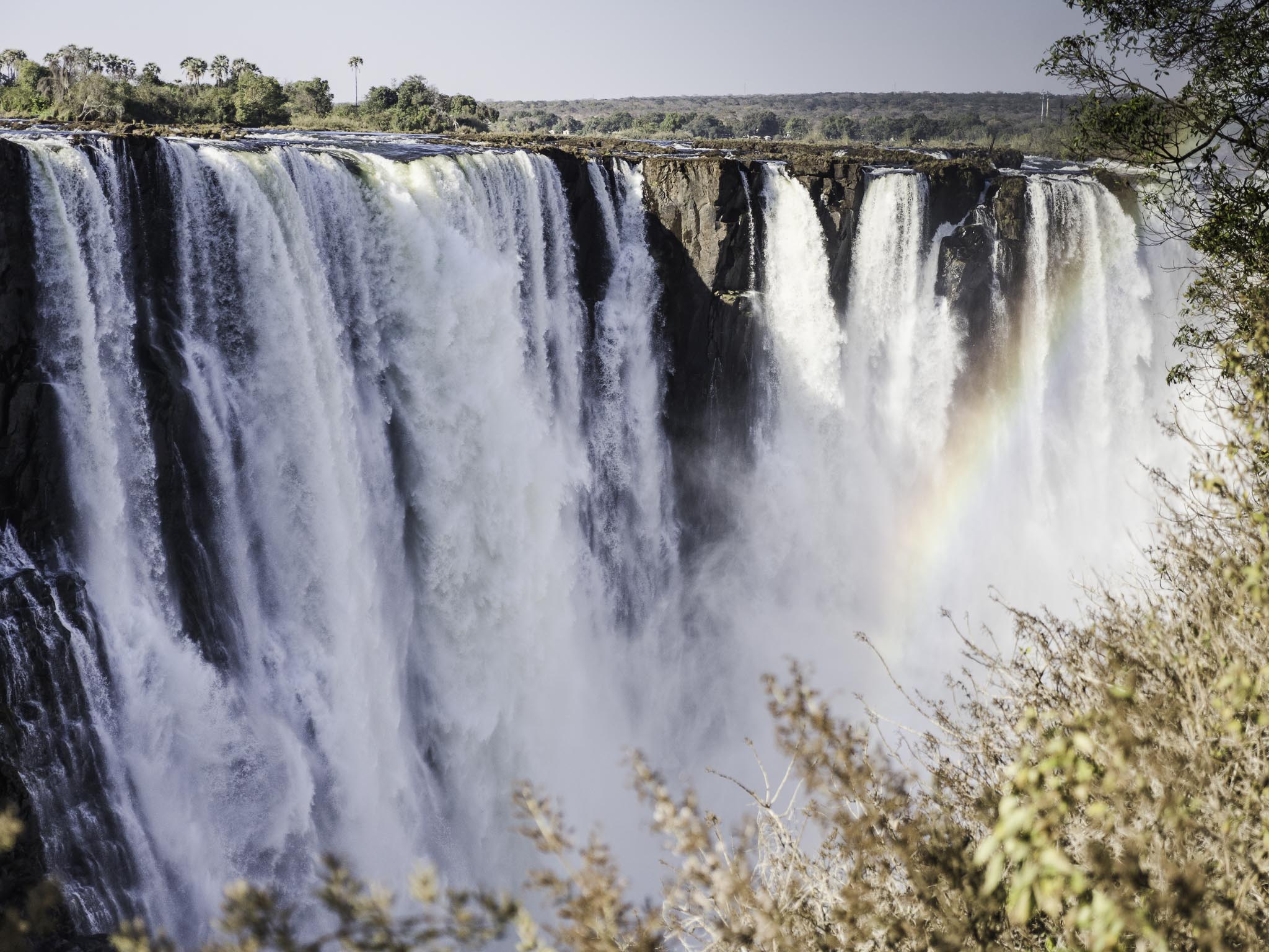 20170812 Africa 2017 _EM27919