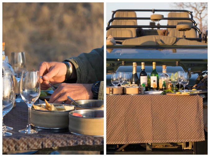 Sundowner Collage (Singita)