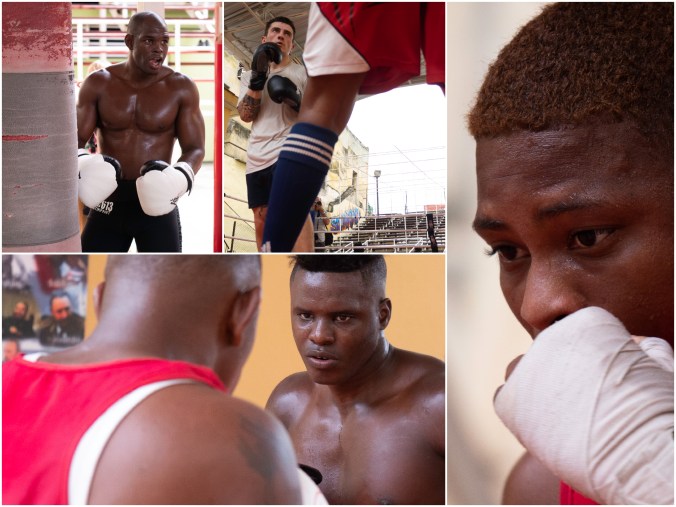 2019-02-14 Collage_Fotor Boxing 3.jpg